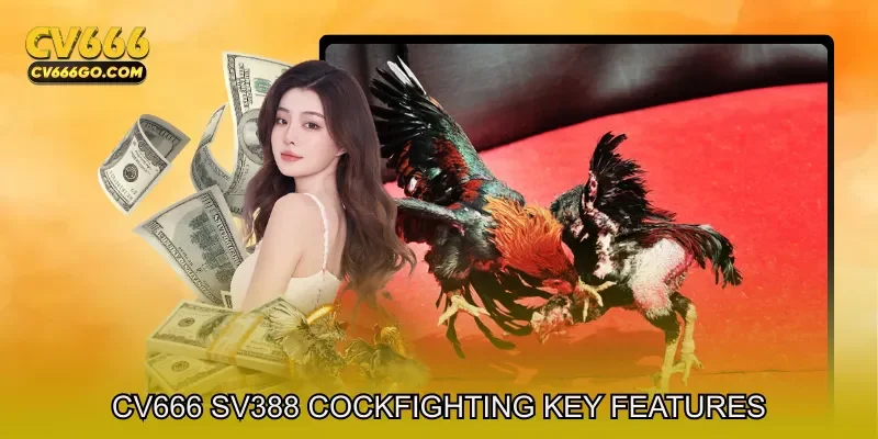 CV666 SV388 Cockfighting Key Features Overview