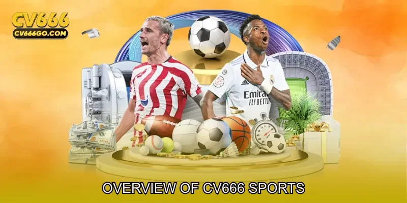 Overview of CV666 sports